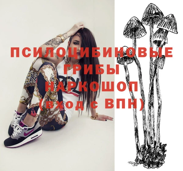 спайс Медвежьегорск