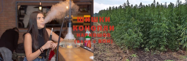 альфа пвп Медногорск
