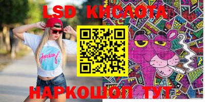 молекула духа Берёзовский