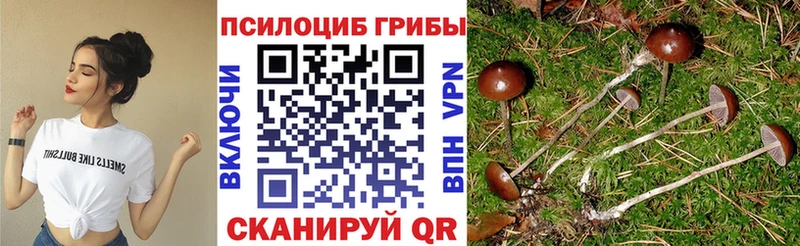 Псилоцибиновые грибы GOLDEN TEACHER  Ржев 