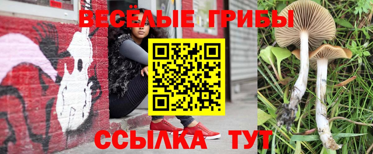 Галлюциногенные грибы MAGIC MUSHROOMS  Галлюциногенные грибы Psilocybe  Вход с VPN  как найти закладки  Ржев 