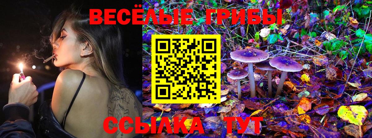 Alpha-PVP СОЛЬ кристаллы  Cocaine  Ржев  Мефедрон кристаллы  КЕТАМИН  МЕТ  ГАШИШ  Вход с VPN  Марихуана 
