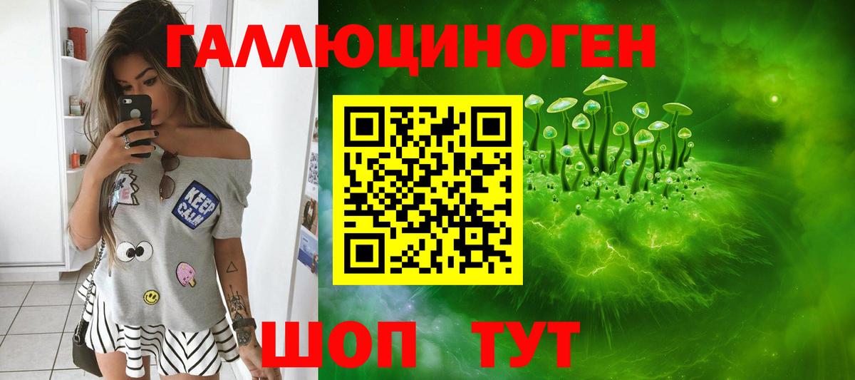 Галлюциногенные грибы Psilocybe  Ржев  Псилоцибиновые грибы прущие грибы 